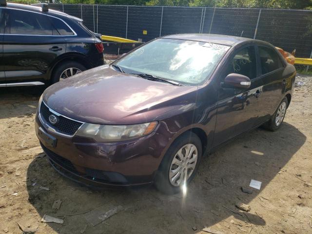 Photo 2 from auction – 2010 KIA FORTE EX with VIN KNAFU4A23A5834268