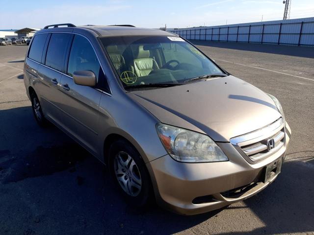 HONDA ODYSSEY EX 2007 with VIN 5FNRL387X7B137931 - Photo from auction