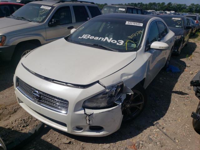 Photo 2 from auction – 2011 NISSAN MAXIMA S with VIN 1N4AA5AP4BC802374