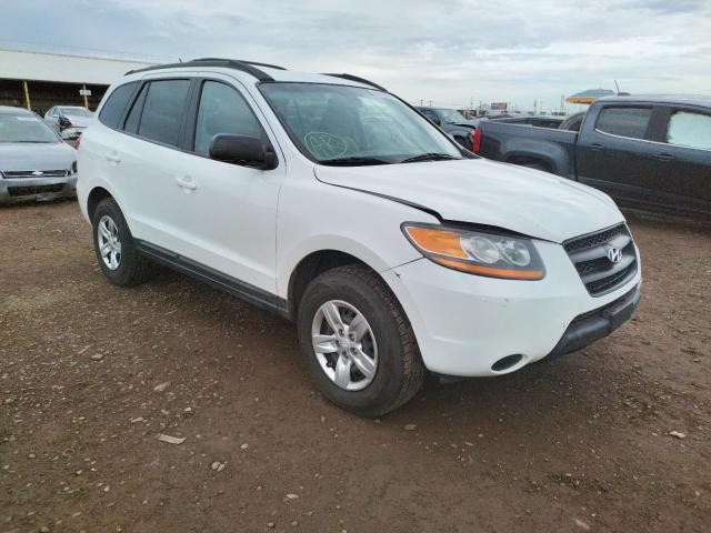 HYUNDAI SANTA FE G 2009 with VIN 5NMSG13D19H295101 - Photo from auction