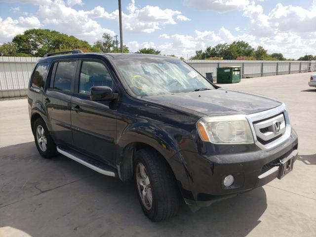 HONDA PILOT EXL 2009 with VIN 5FNYF48589B504982 - Photo from auction