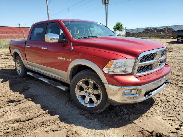 DODGE RAM 1500 2009 with VIN 1D3HV13TX9S768044 - Photo from auction