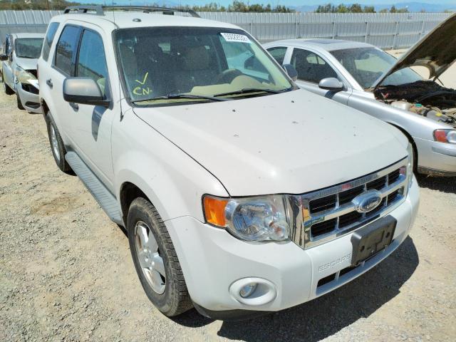 FORD ESCAPE XLT 2009 with VIN 1FMCU03G39KA64637 - Photo from auction
