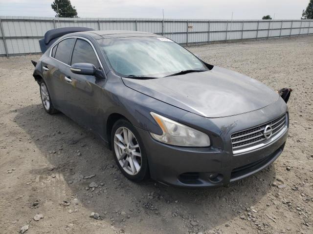 NISSAN MAXIMA S 2010 with VIN 1N4AA5AP3AC868364 - Photo from auction