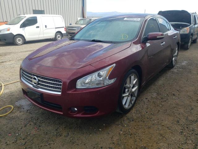 Photo 2 from auction – 2010 NISSAN MAXIMA S with VIN 1N4AA5AP5AC845975