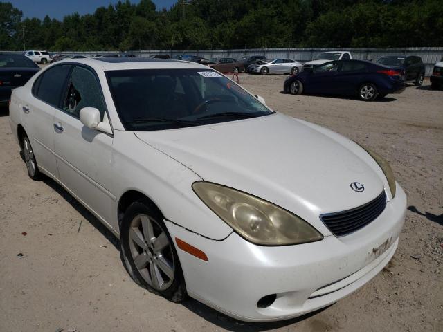 LEXUS ES 330 2005 with VIN JTHBA30G255096047 - Photo from auction