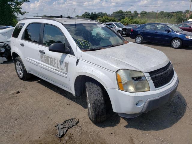 CHEVROLET EQUINOX LS 2005 with VIN 2CNDL23F856110471 - Photo from auction