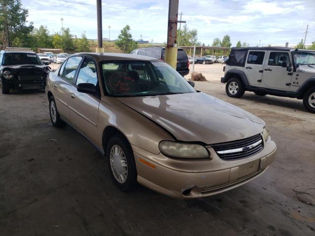 CHEVROLET MALIBU 2002 with VIN 1G1ND52J92M536821 - Photo from auction