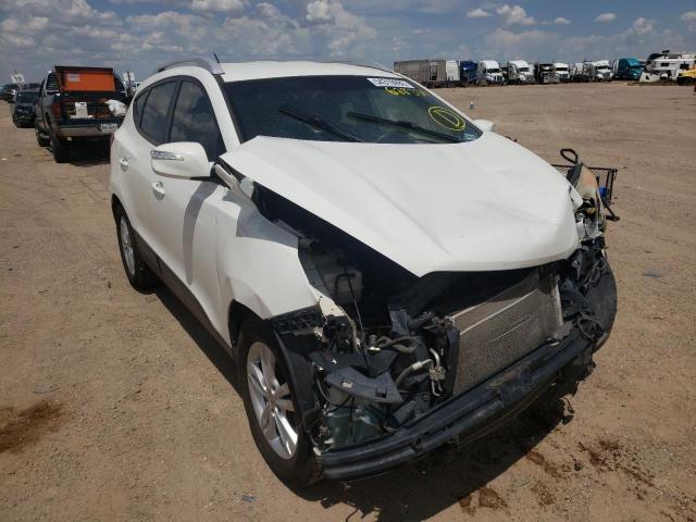 HYUNDAI TUCSON 2013 with VIN KM8JUCAC4DU628334 - Photo from auction