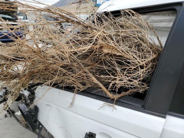 Photo 8 from auction – 2012 LAND ROVER RANGE ROVE with VIN SALSP2E42CA736182
