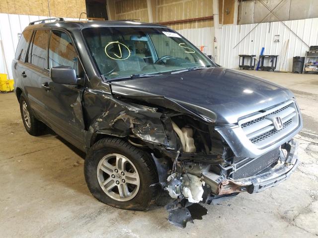 HONDA PILOT EX 2005 with VIN 5FNYF18475B031043 - Photo from auction
