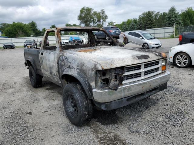 DODGE DAKOTA 1988 with VIN 1B7GR14X0JS665200 - Photo from auction