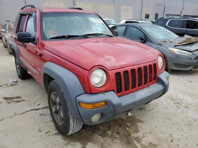 JEEP LIBERTY SP 2002 with VIN 1J4GL48K92W234165 - Photo from auction