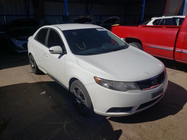 KIA FORTE EX 2010 with VIN KNAFU4A22A5834696 - Photo from auction
