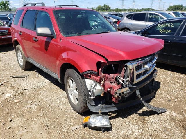 FORD ESCAPE XLT 2011 with VIN 1FMCU0DGXBKC16580 - Photo from auction