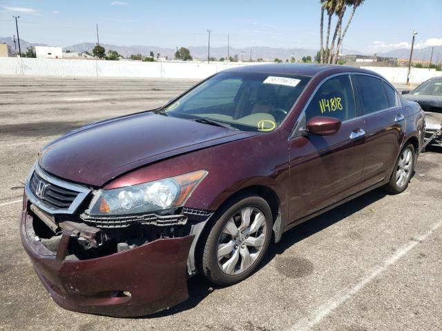 Photo 2 from auction – 2010 HONDA ACCORD EXL with VIN 5KBCP3F87AB016112