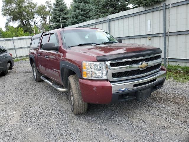 CHEVROLET SILVERADO 2009 with VIN 3GCEK23M49G144542 - Photo from auction