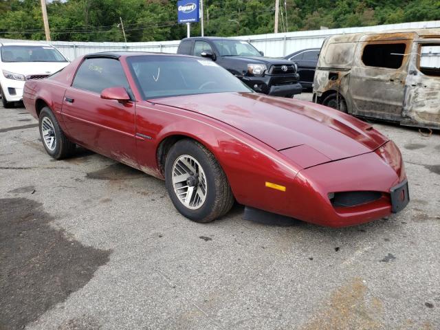 PONTIAC FIREBIRD B 1991 with VIN 1G2FS23EXML205356 - Photo from auction