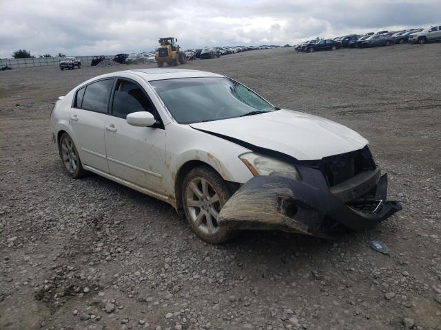 NISSAN MAXIMA SE 2007 with VIN 1N4BA41E07C862298 - Photo from auction