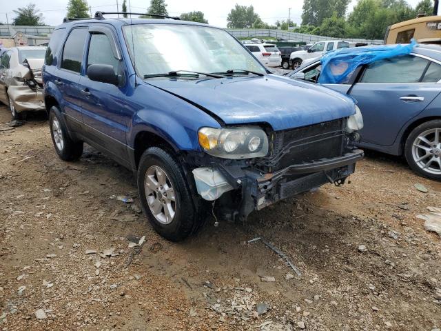 FORD ESCAPE XLT 2007 with VIN 1FMYU03ZX7KA05623 - Photo from auction