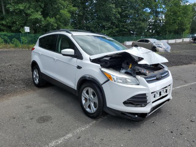 FORD ESCAPE SE 2016 with VIN 1FMCU9GX8GUA25333 - Photo from auction