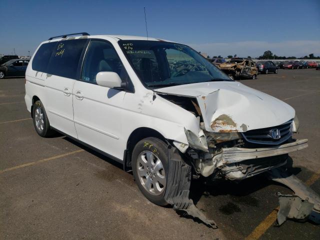 HONDA ODYSSEY EX 2004 with VIN 5FNRL18804B149384 - Photo from auction