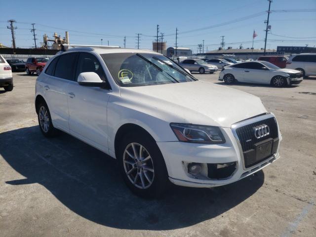 AUDI Q5 PREMIUM 2010 with VIN WA1LKAFP2AA017910 - Photo from auction