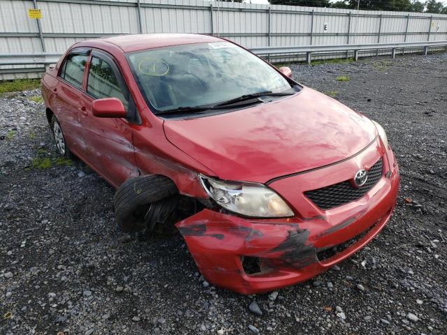 TOYOTA COROLLA BA 2010 with VIN 2T1BU4EE0AC305241 - Photo from auction