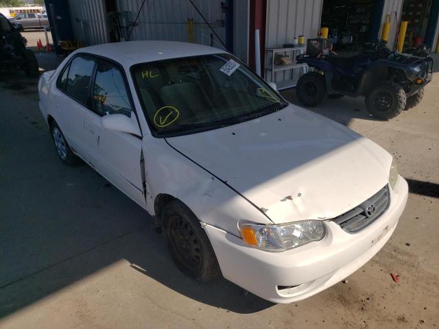 TOYOTA COROLLA CE 2002 with VIN 1NXBR12E22Z608333 - Photo from auction