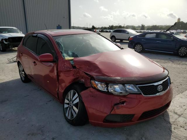 KIA FORTE EX 2013 with VIN KNAFU5A23D5728123 - Photo from auction