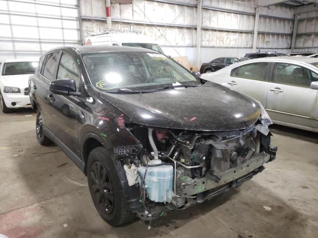 TOYOTA RAV4 LE 2018 with VIN 2T3ZFREV1JW437906 - Photo from auction