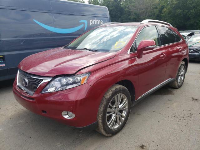 Photo 2 from auction – 2010 LEXUS RX 450 with VIN JTJBC1BA9A2411248