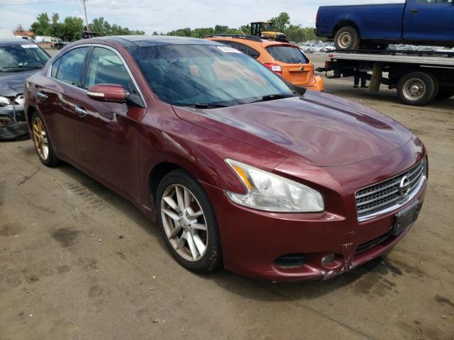 NISSAN MAXIMA 2009 with VIN 1N4AA51E19C822509 - Photo from auction