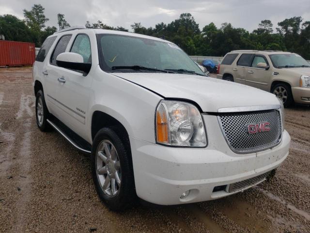 GMC YUKON DENA 2014 with VIN 1GKS2EEF3ER166064 - Photo from auction