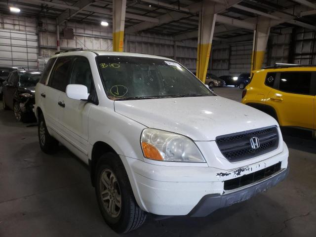 HONDA PILOT EXL 2005 with VIN 5FNYF18565B020673 - Photo from auction