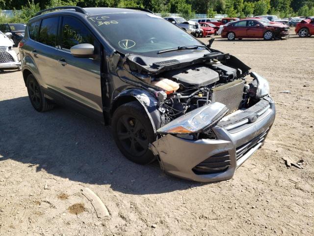 Foto 1 de la subasta – 2014 FORD ESCAPE SE con VIN 1FMCU0G90EUC61808