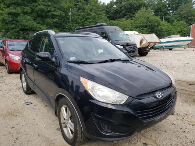 HYUNDAI TUCSON GLS 2011 with VIN KM8JUCAC5BU143441 - Photo from auction