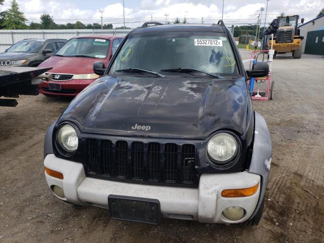 Photo 9 from auction – 2003 JEEP LIBERTY SP with VIN 1J4GL48K53W608028