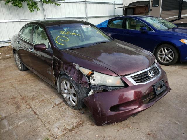 HONDA ACCORD EXL 2010 with VIN 5KBCP3F85AB012205 - Photo from auction