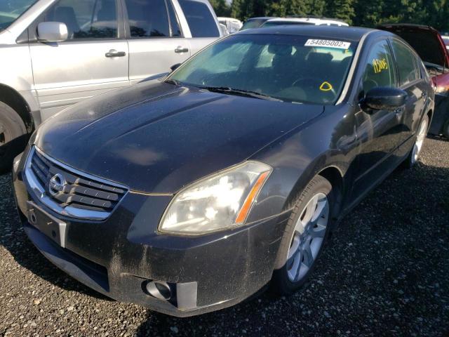 Photo 2 from auction – 2008 NISSAN MAXIMA SE with VIN 1N4BA41E18C824029