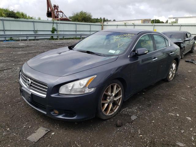 Photo 2 from auction – 2010 NISSAN MAXIMA with VIN 1N4AA5AP1AC851465