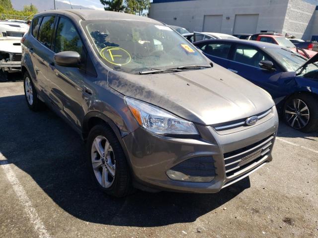FORD ESCAPE SE 2014 with VIN 1FMCU0GX8EUD51335 - Photo from auction