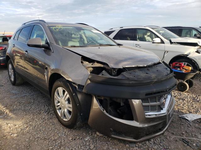 CADILLAC SRX 2011 with VIN 3GYFNGEYXBS631721 - Photo from auction
