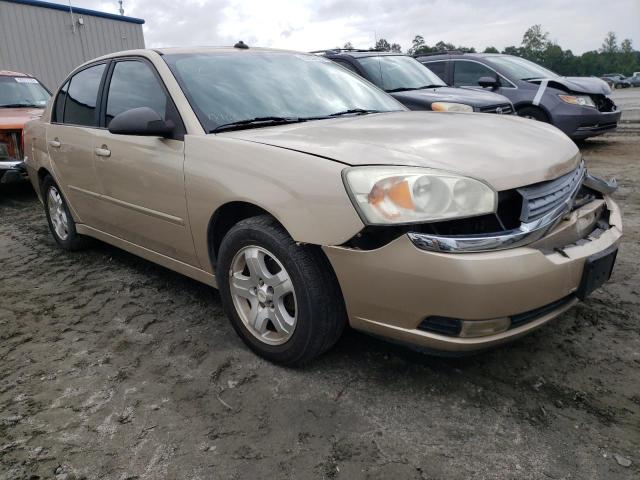 CHEVROLET MALIBU LT 2005 with VIN 1G1ZU54875F292087 - Photo from auction