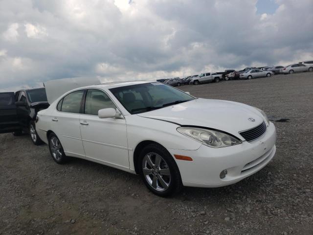 LEXUS ES 330 2006 with VIN JTHBA30G465155066 - Photo from auction
