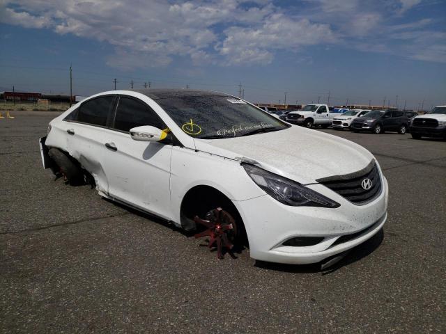 HYUNDAI SONATA SE 2013 with VIN 5NPEC4AC1DH503719 - Photo from auction