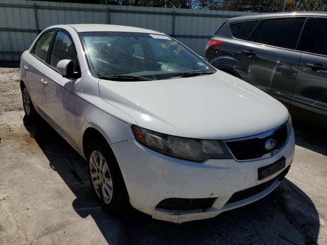KIA FORTE LX 2013 with VIN KNAFT4A24D5720531 - Photo from auction