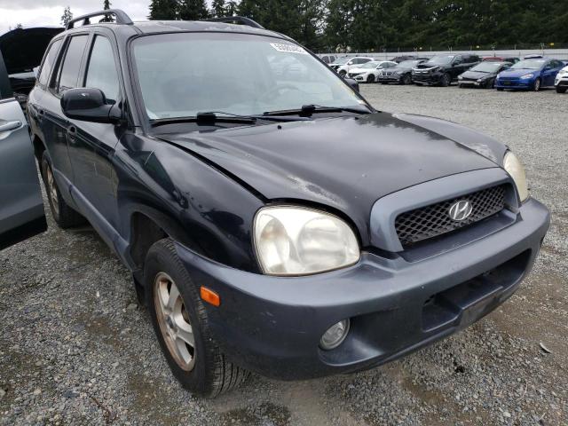 HYUNDAI SANTA FE G 2002 with VIN KM8SC13D52U325061 - Photo from auction