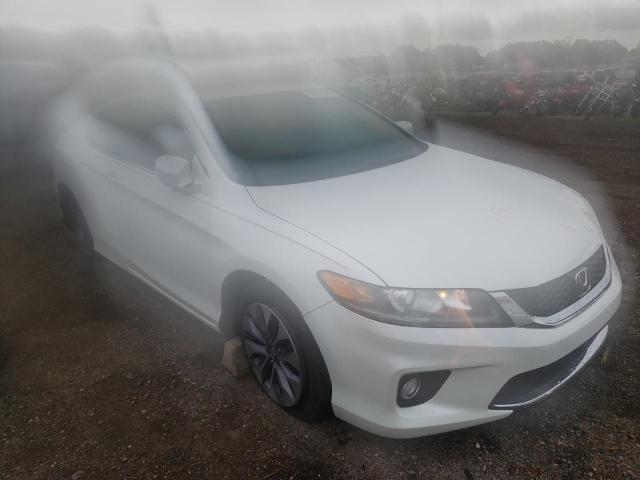 Photo 1 from auction – 2013 HONDA ACCORD EXL with VIN 1HGCT1B80DA017038