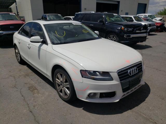 AUDI A4 PREMIUM 2011 with VIN WAUAFAFLXBN056461 - Photo from auction